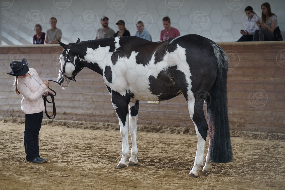 s_APF06442.jpg